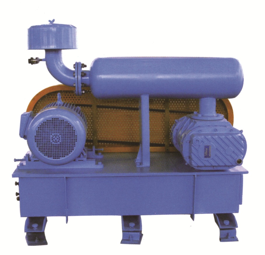 SN Roots Blower